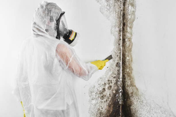 Water Damage Restoration in Mapleton, IA