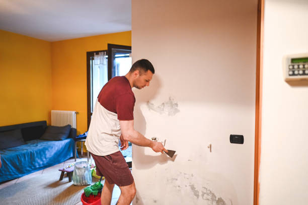 Best Professional Mold Removal  in Mapleton, IA